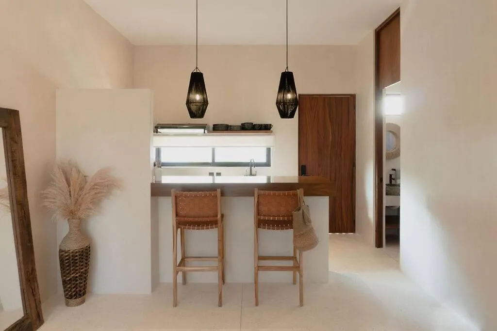 Casa Coba Sol Penthouse Pool Aldea Zama Apartment Tulum Mexico